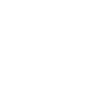 一日葬プラン